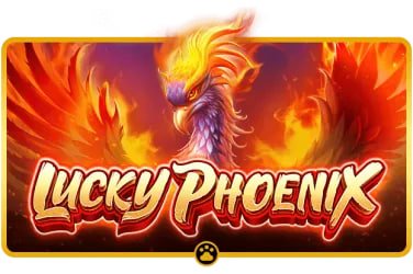 pakrummy2
